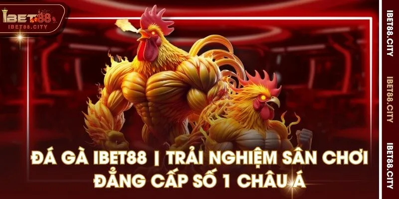 Đá gà IBET88