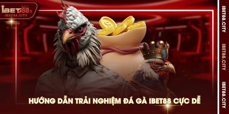 Hướng dẫn trải nghiệm đá gà IBET88 cực dễ