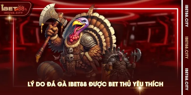 Lý do đá gà IBET88 được bet thủ yêu thích